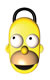 Homer Simpson Talking Shower Radio
